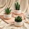 Set of 3 Artificial Succulents in Ceramic Pots – Faux Small Potted Cactus Plants for Home Decor, Bedroom, Office Desk, Living Room & Shelf Decoration